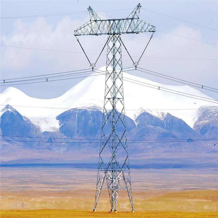 Single Circuit Tower